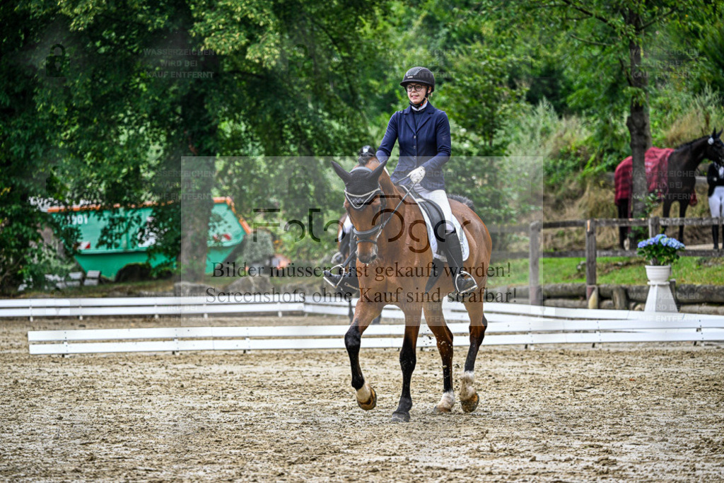 Bissendorfer Reitertage | Entdecke hochwertige Reitturnierfotos von Foto Oger. Professionell, emotional und authentisch – jetzt Lieblingsmomente im Shop bestellen. - Realisiert mit Pictrs.com
