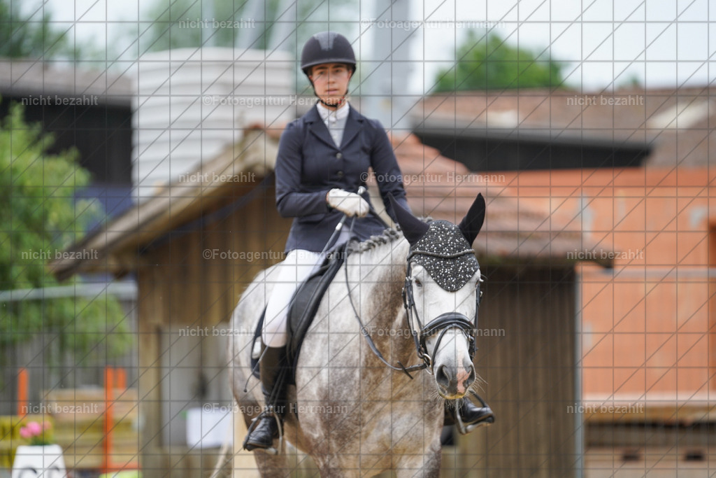 20240630-FAH00891 | Turnierbilder Schwabmünchen, Dressurbilder, Springreitturnier, Reitsportbilder, Turnierfotografen Bayern, Turnierfotograf