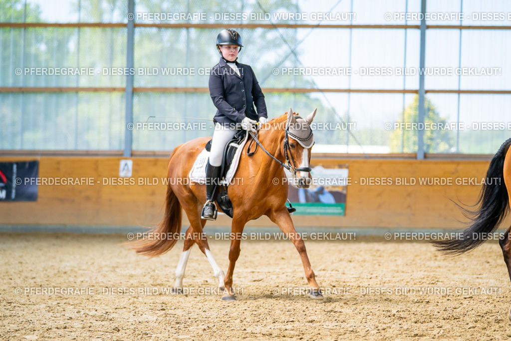 DSC08711 | Pferdegrafie