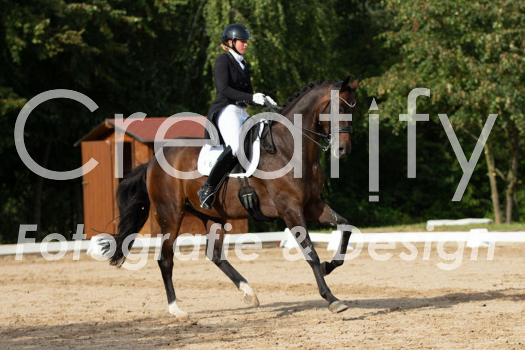 IMG_4703 | Creatify Fotografie