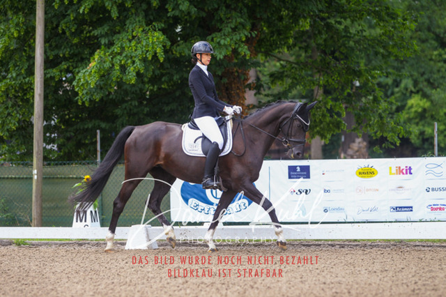 DKP41871 | Turniersportfotografie; Pferdefotografie; Dressurfotografie