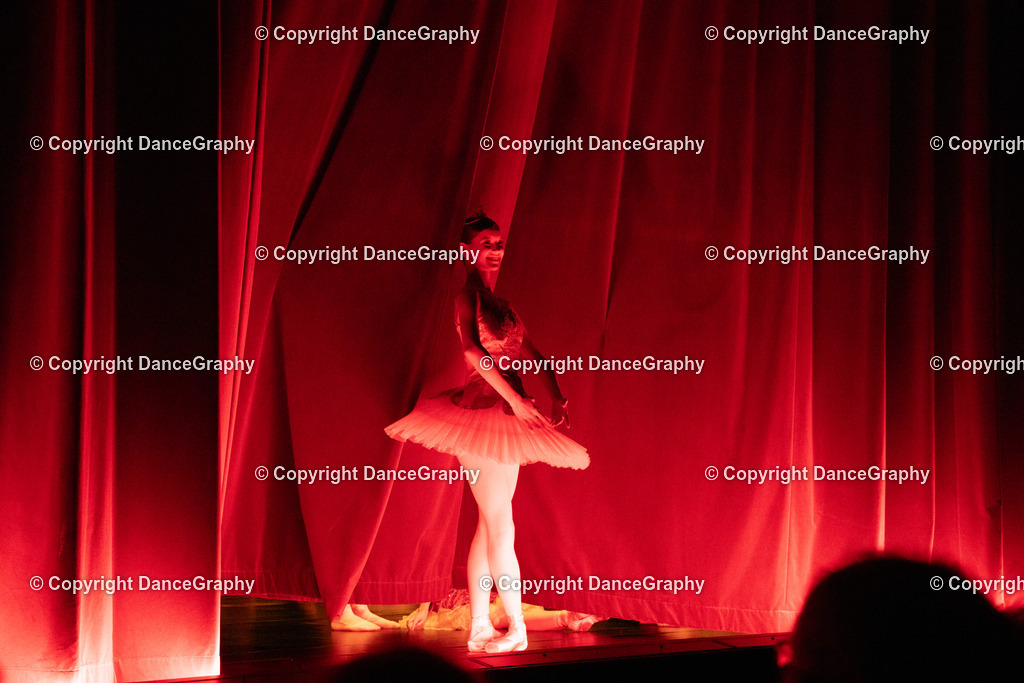 GPHY4419 | DanceGraphy - Realisiert mit Pictrs.com