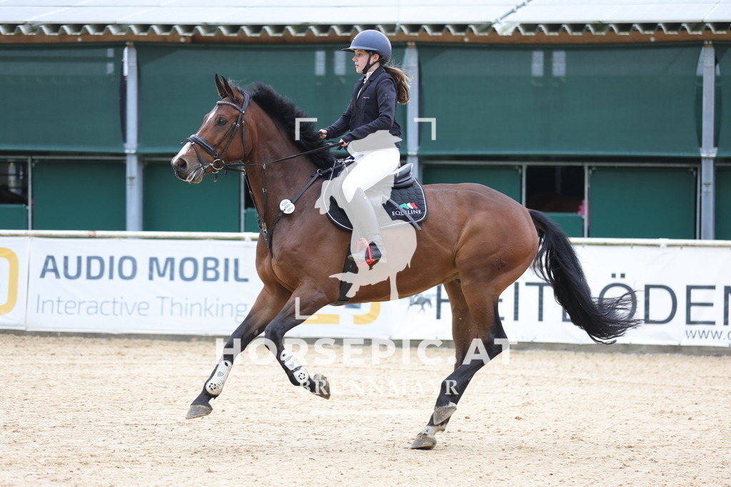 0P6A2749 | Willkommen bei Brunnmayr - Design & Fotografie – Ihrem Spezialisten für Reitturniere und Pferdeveranstaltungen in Oberösterreich, Salzburg und Bayern! Seit über 17 Jahren sind wir leidenschaftlich dabei.