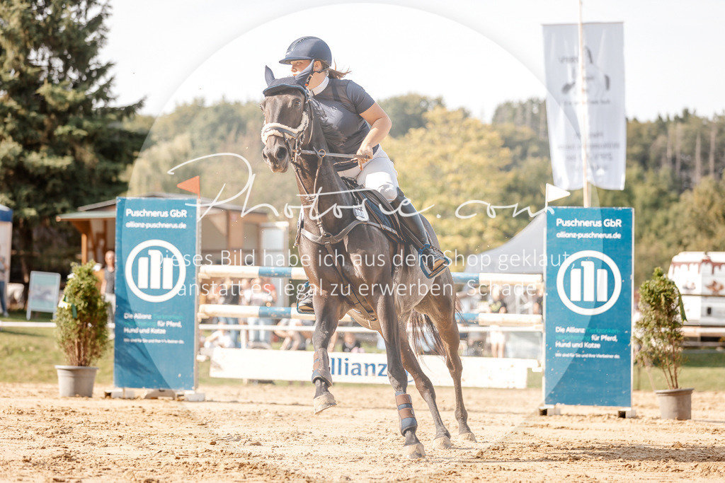 3I6A4887 | Stimmungsvolle Portraits und Reitsportfotografie im Ruhrgebiet und im Münsterland.

Pferdefotografie, Hundefotografie, Tierfotografie, Reportagen, Portraits von Tier und Mensch, Turnierfotografie in Bochum, Recklinghausen, Marl, Haltern am See, Dülmen.. - Realisiert mit Pictrs.com