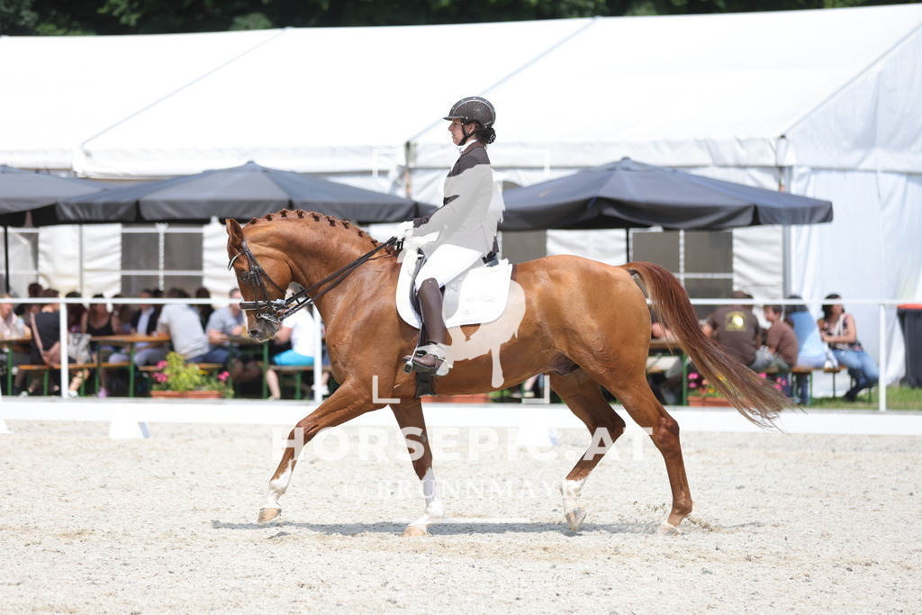 0P6A1460 | Willkommen bei Brunnmayr - Design & Fotografie – Ihrem Spezialisten für Reitturniere und Pferdeveranstaltungen in Oberösterreich, Salzburg und Bayern! Seit über 17 Jahren sind wir leidenschaftlich dabei.