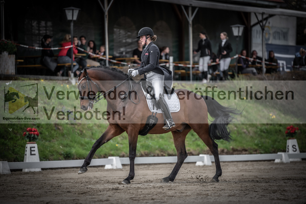 DSC_2461 | equestrian-live-com