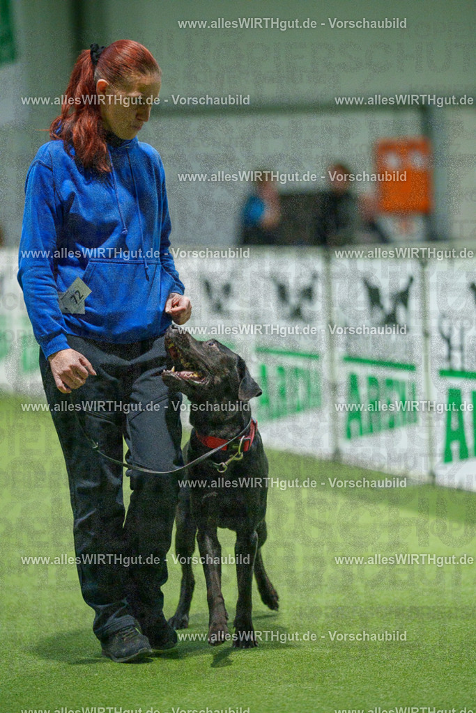 7R508409 | Professionelle Tierfotografie in Mönchengladbach von Daniel Wirth (allesWIRTHgut). Liebevolle & natürliche Bilder von Hunden & Katzen für unvergessliche Erinnerungen.