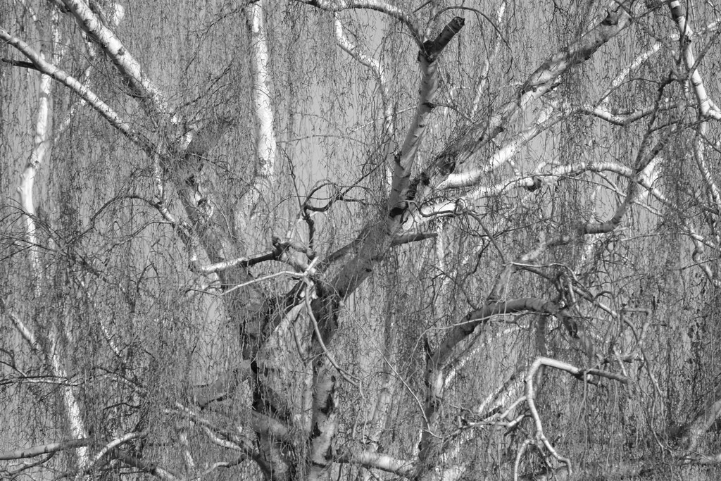 P1640806_a | Annaeherungen - Realisiert mit Pictrs.com