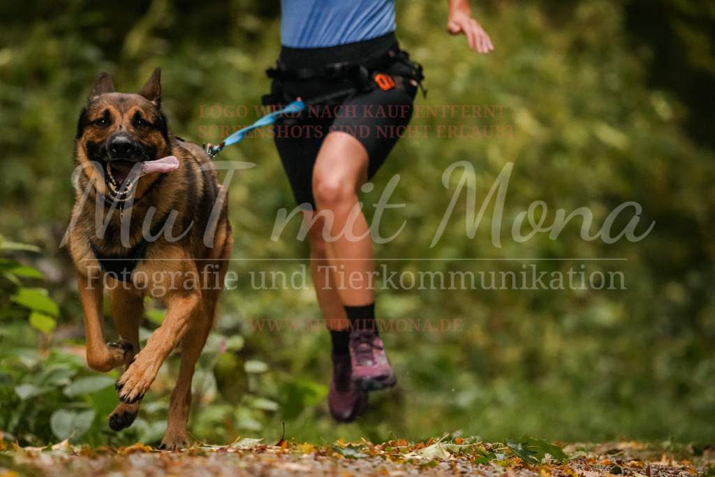 20251005_THS_Turnier-124 | MuT (Mensch und Tier) mit Mona - Fotografie und Tierkommunikation - Realisiert mit Pictrs.com