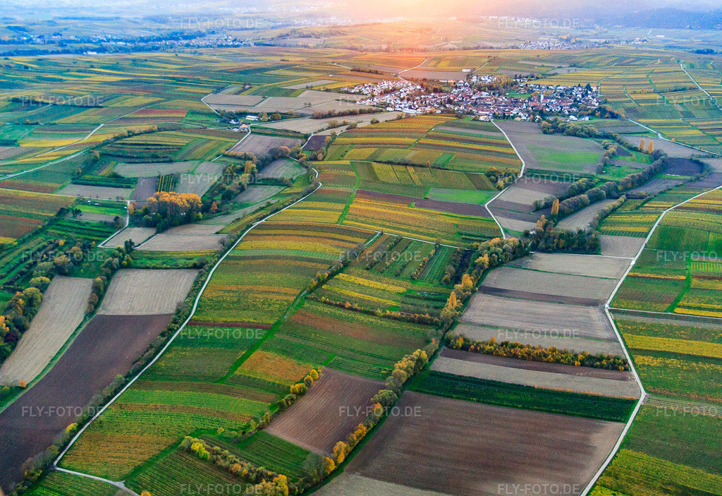 Luftbild: Dorf in Weinbergen im Herbstlaub bei Sonnenuntergang von Osten im Ortsteil Mörzheim in Landau im Bundesland Rheinland-Pfalz in Deutschland. Foto: IMG_60851.jpg vom 09.11.2013 durch Werner Riehm/FLY-FOTO.de