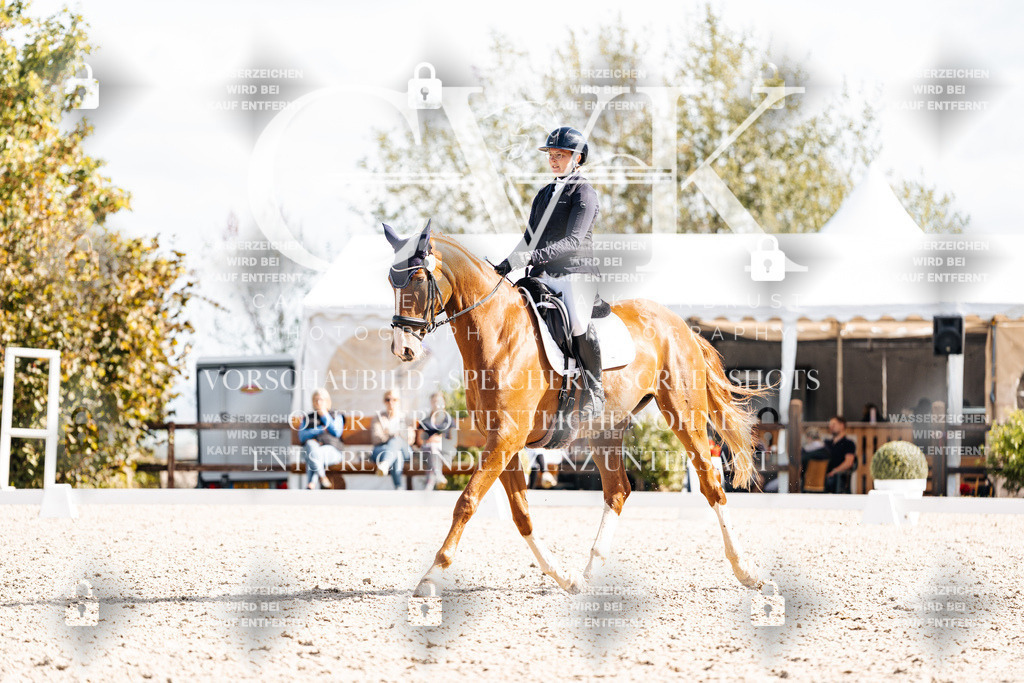CK902449 | Turnierfotografie Pferdefotografie Trier Rheinland-Pfalz Pferdesport Reitsport Tierfotografie Sportfotografie Pferdevideo Pferdevideografie Equestrianvideography equestrianphotography  - Realisiert mit Pictrs.com