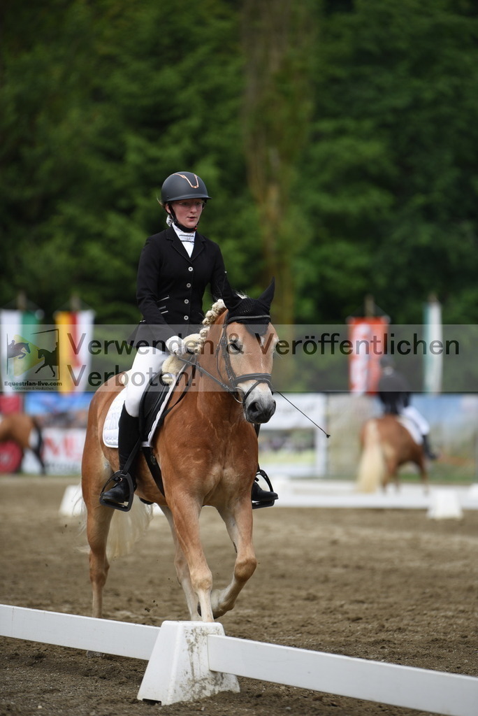 DSC_8228 | equestrian-live-com
