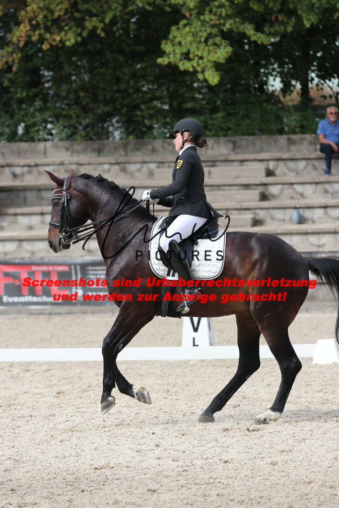 IMG_6669 | lmwpictures - Realisiert mit Pictrs.com