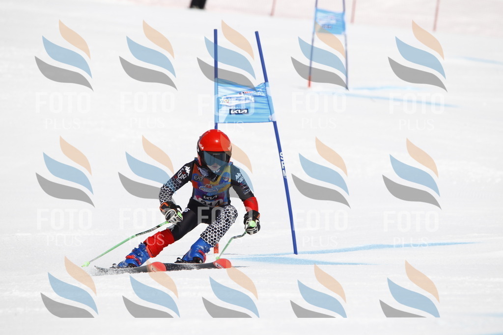 _U3G4900 | holidayphoto