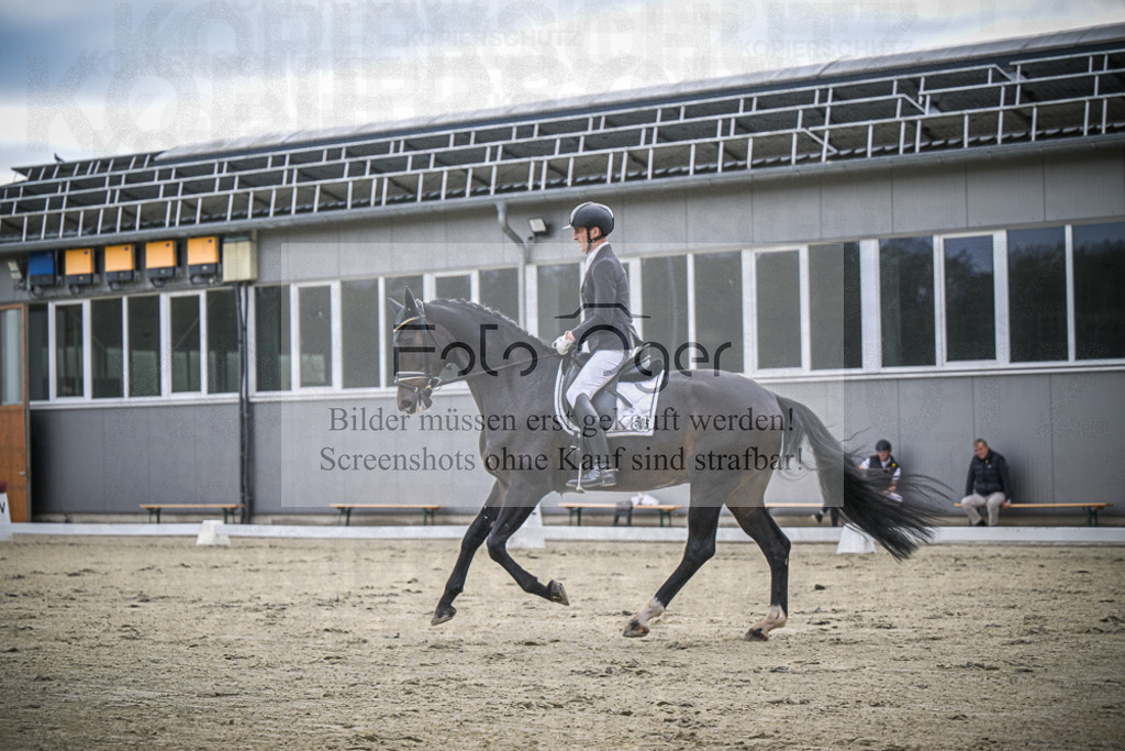 DOS_0815 | Entdecke hochwertige Reitturnierfotos von Foto Oger. Professionell, emotional und authentisch – jetzt Lieblingsmomente im Shop bestellen.Deutschlandweite Turnierfotografie. - Realisiert mit Pictrs.com