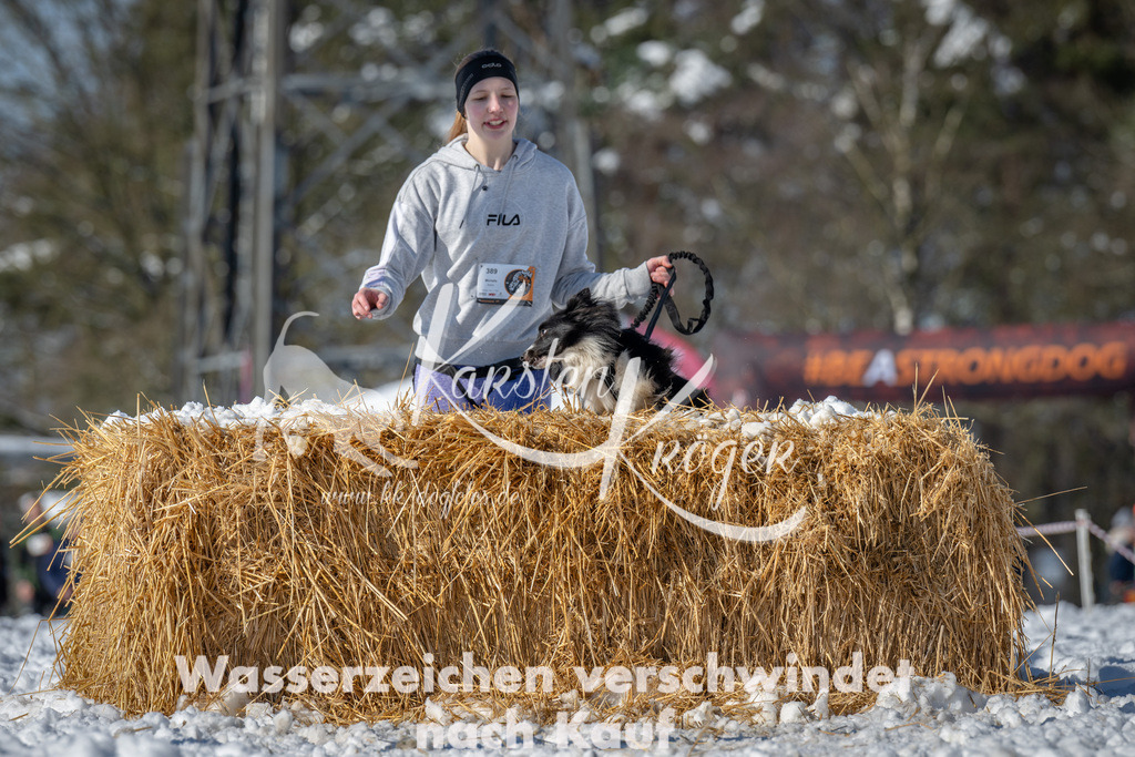 1120_ZZ91559-3 | kk-dogfotos