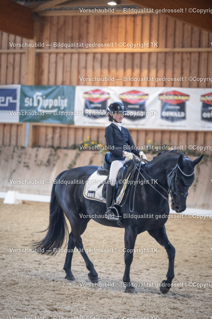 _D5A5075 | Emotionale Pferde- & People-Fotografie rund um Heidelberg, Leimen & Umgebung. Natürliche Fotos von Pferd, Mensch & Familie. Jetzt Termin sichern!