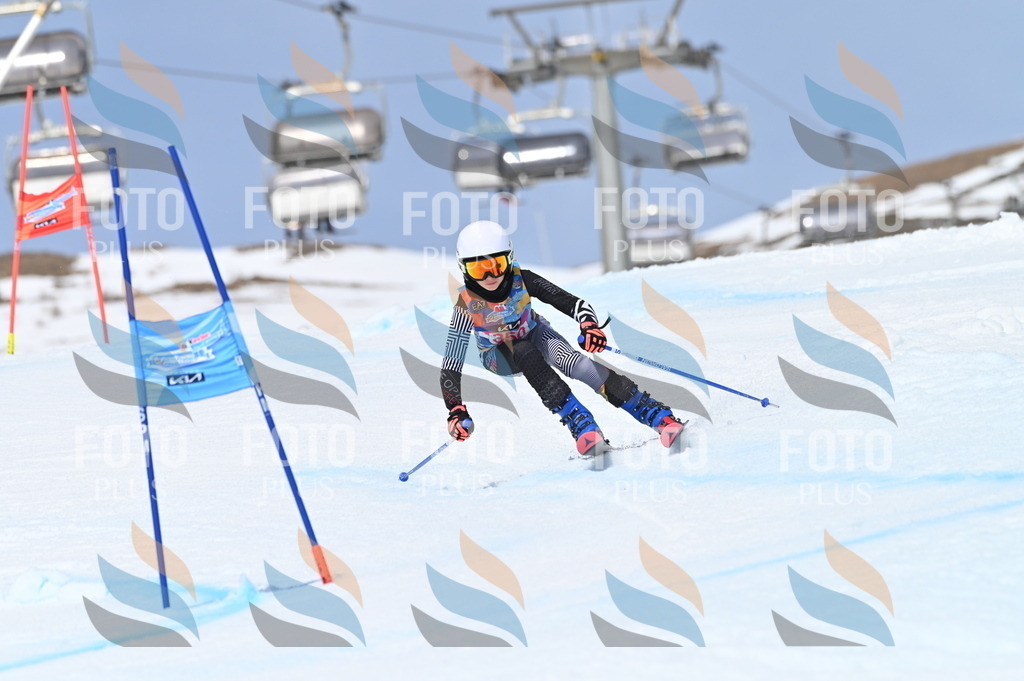 BGV_3637 | holidayphoto