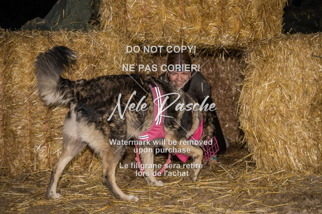 nelerasche_FrNacht_338 | nelerasche