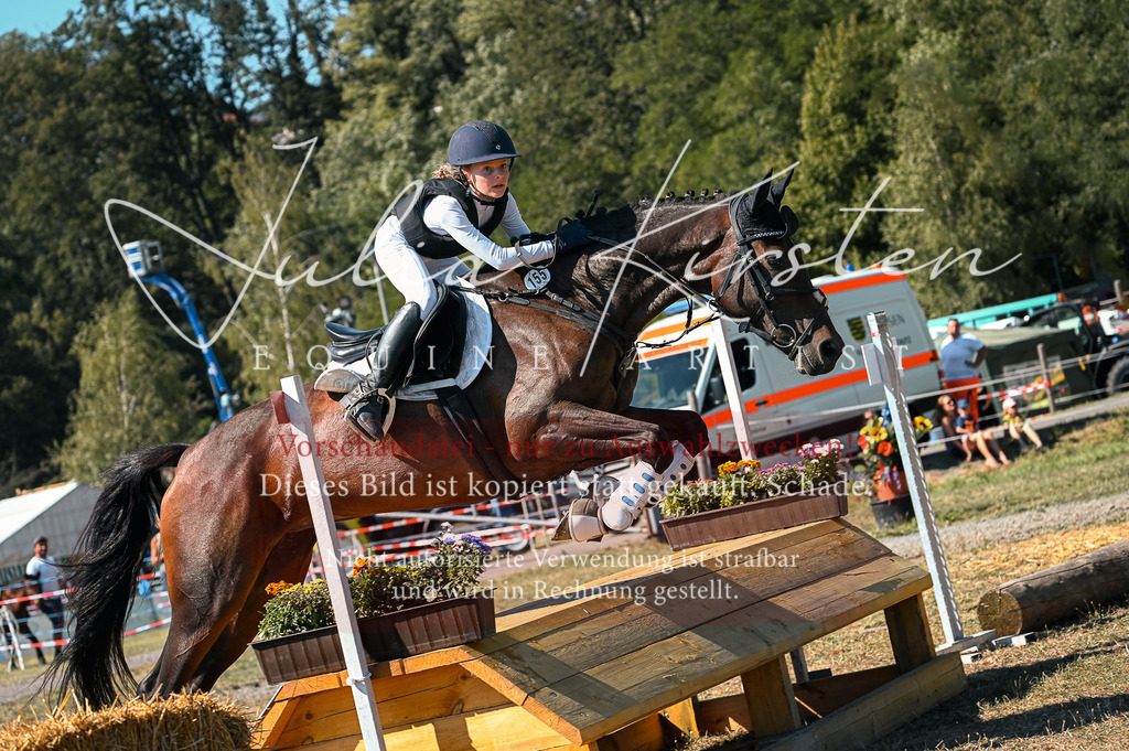 DSC_8008 | Pferde- und Turnierfotografie in Westsachsen. Pferdeportraits, Auftragszeichnungen und intuitive Kunst.