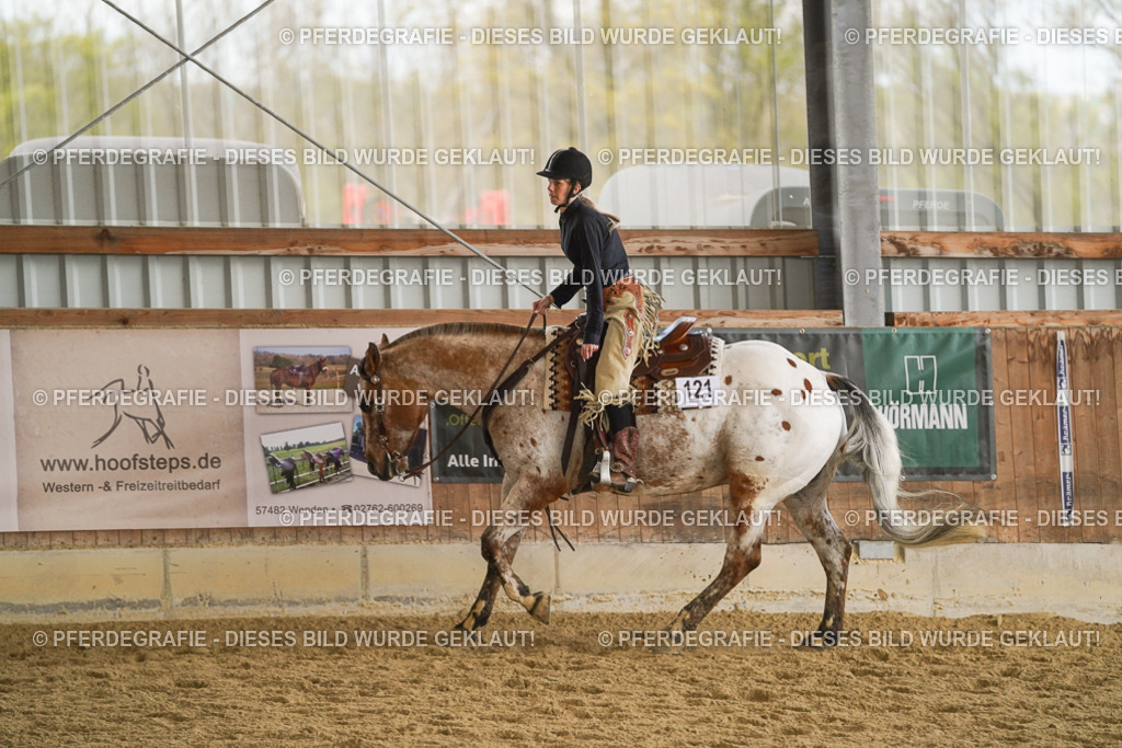 DSC08713 | Pferdegrafie