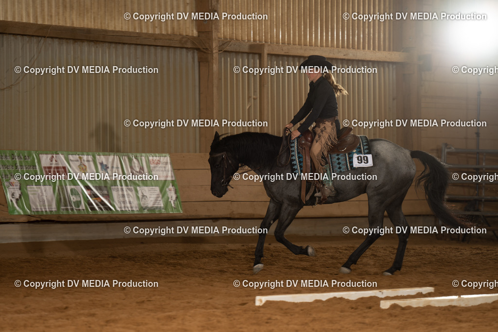 NID01576 | dv-media-shop - Realisiert mit Pictrs.com