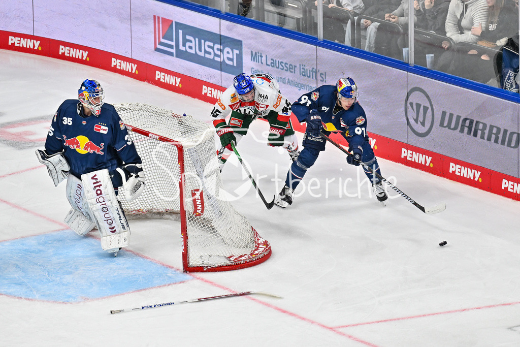 EHC RB München - Augsburger Panther | Jason BAST (Augsburger Panther #45) und Filip VAREJCKA (EHC RB Muenchen 91) kaempfen hinter Mathias NIEDERBERGER (EHC RB Muenchen 35) um den Puck / Zweikampf / DEL: EHC RB Muenchen - Augsburger Panther, SAP Garden am 23.11.2024