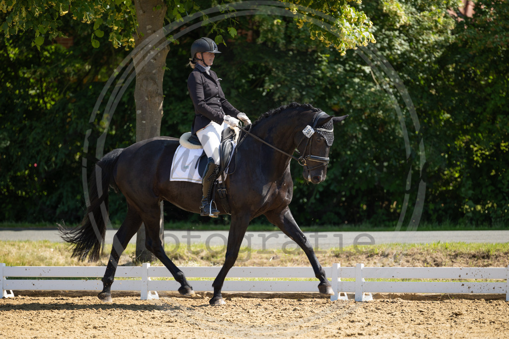 994A3033 | sabrinanicolaifotografie - Realisiert mit Pictrs.com