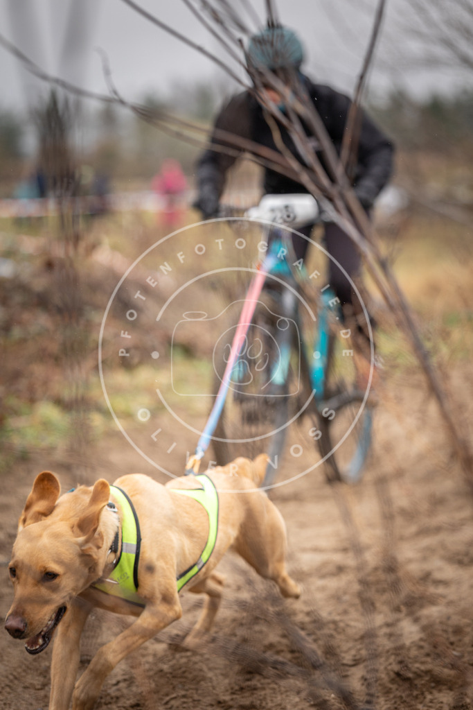 DV3A9068 | Hundefotografie, Tierfotograf, Pfotenfotografie, Fotoshooting Hund, Hunde Portrait, Hundesport, Hundeportraits, Heideshooting, Hunde, Sportfotograf, Hundefotograf, Turnierhundsport, THS,  - Realisiert mit Pictrs.com