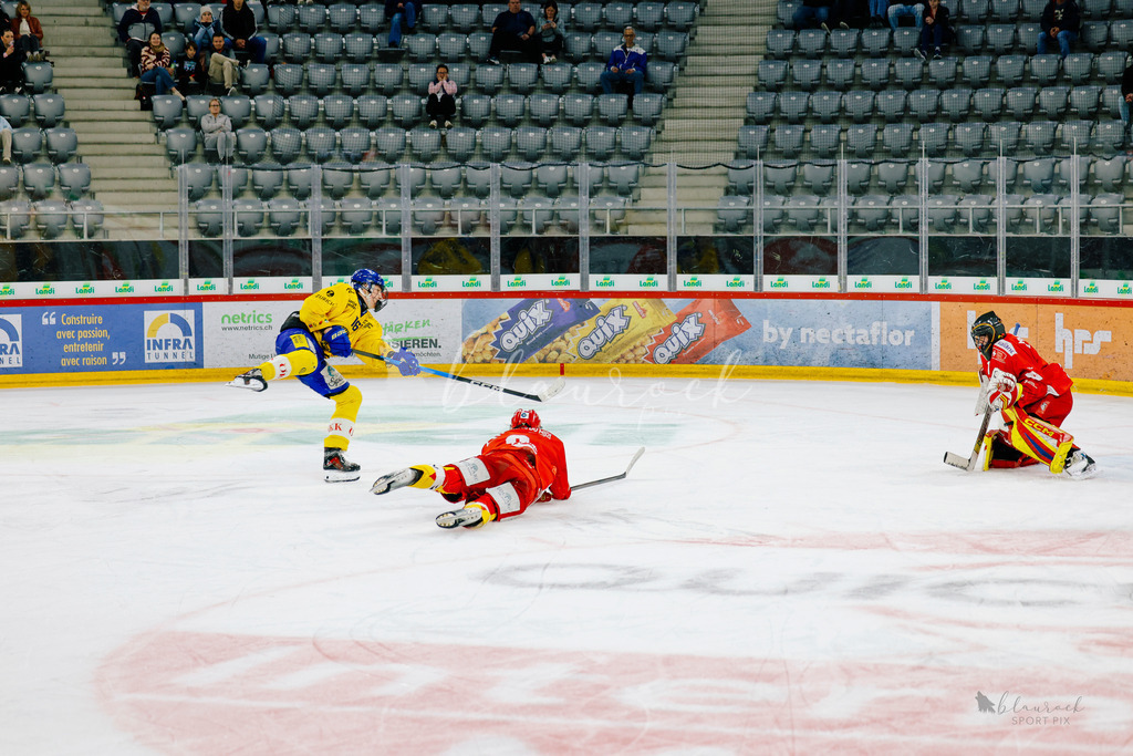 U21_EHCB vs HCD_wb20260308-0374 | Sportbilder, Sportfotograf, Hochzeits- und Eventfotografin, Flugshows, Portraits und Tiershooting, Aviation, Downhill, Nationalleague, Swissleague, International