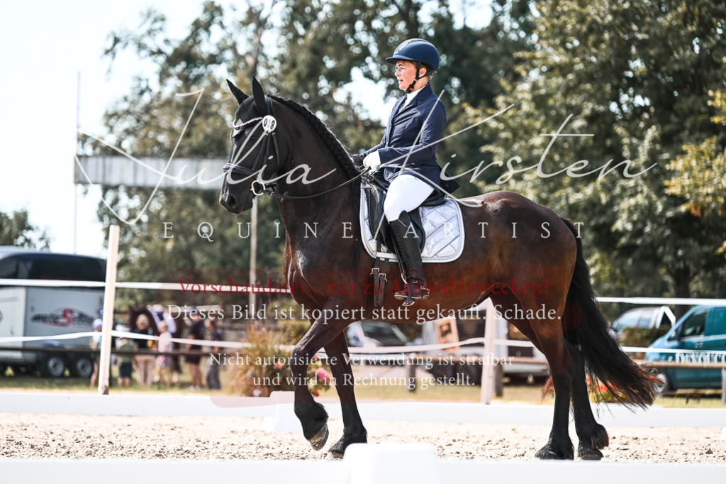 DSC_5417 | Pferde- und Turnierfotografie in Westsachsen. Pferdeportraits, Auftragszeichnungen und intuitive Kunst.