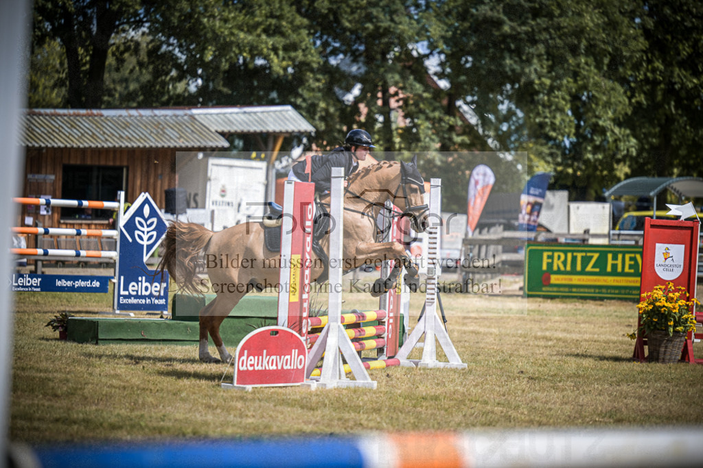 DOS_0487 | Entdecke hochwertige Reitturnierfotos von Foto Oger. Professionell, emotional und authentisch – jetzt Lieblingsmomente im Shop bestellen.Deutschlandweite Turnierfotografie. - Realisiert mit Pictrs.com