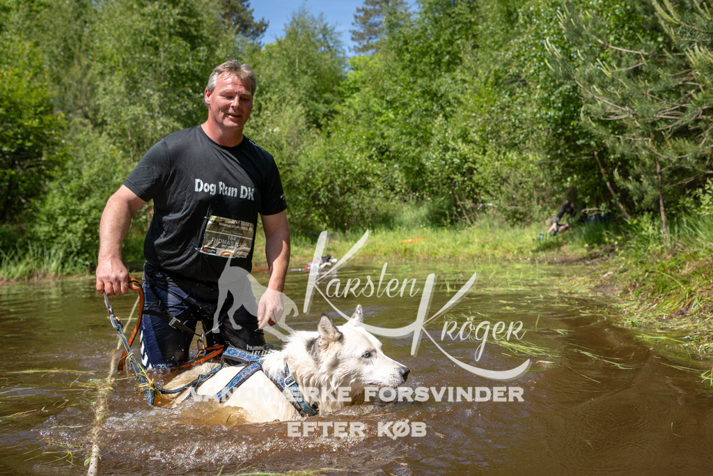 1343DKK990309 | kk-dogfotos