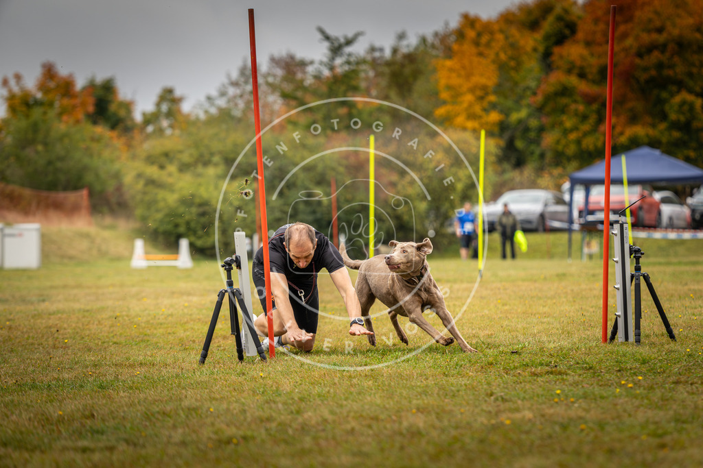 Pfotenfotografie_DV3A2324 | Hundefotografie, Tierfotograf, Pfotenfotografie, Fotoshooting Hund, Hunde Portrait, Hundesport, Hundeportraits, Heideshooting, Hunde, Sportfotograf, Hundefotograf, Turnierhundsport, THS,  - Realisiert mit Pictrs.com