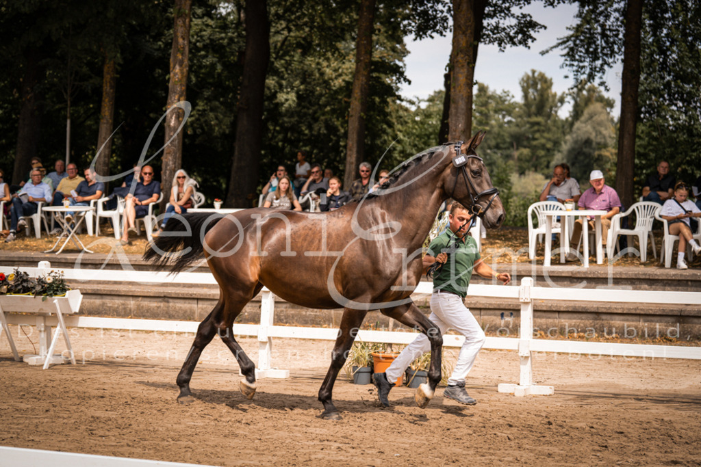 3.Fr00043 | Leoni Ertmer Photography - Realisiert mit Pictrs.com