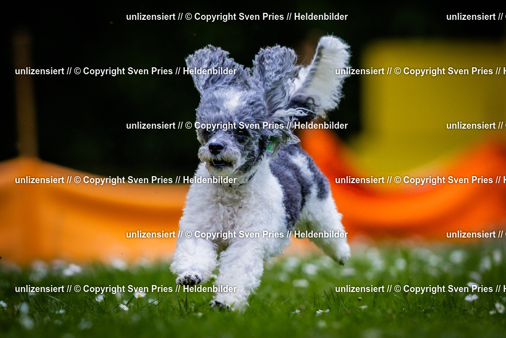 Sven Pries | 2025-05-29 - Pudelrennen KA-Durlach - Realisiert mit Pictrs.com