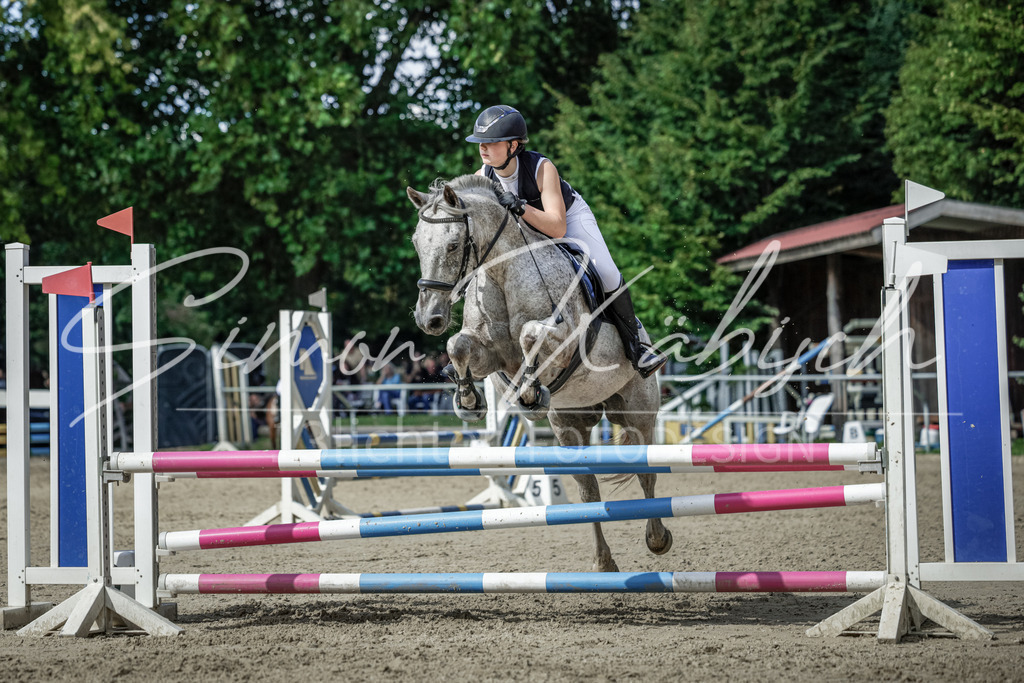 20250906-_3LI6473 | Tierfotografie Pferde, Hunde, Katzen, Haustiere.
Turnierfotografie Reitturniere, Reiten, Springreiten, Dressur in Hanau, dem Main-Kinzig-Kreis und dem Rhein-Main- Gebiet um Frankfurt