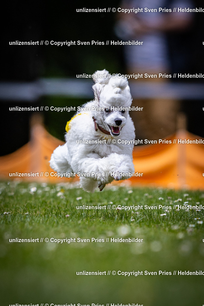 Sven Pries | 2025-05-29 - Pudelrennen KA-Durlach - Realisiert mit Pictrs.com