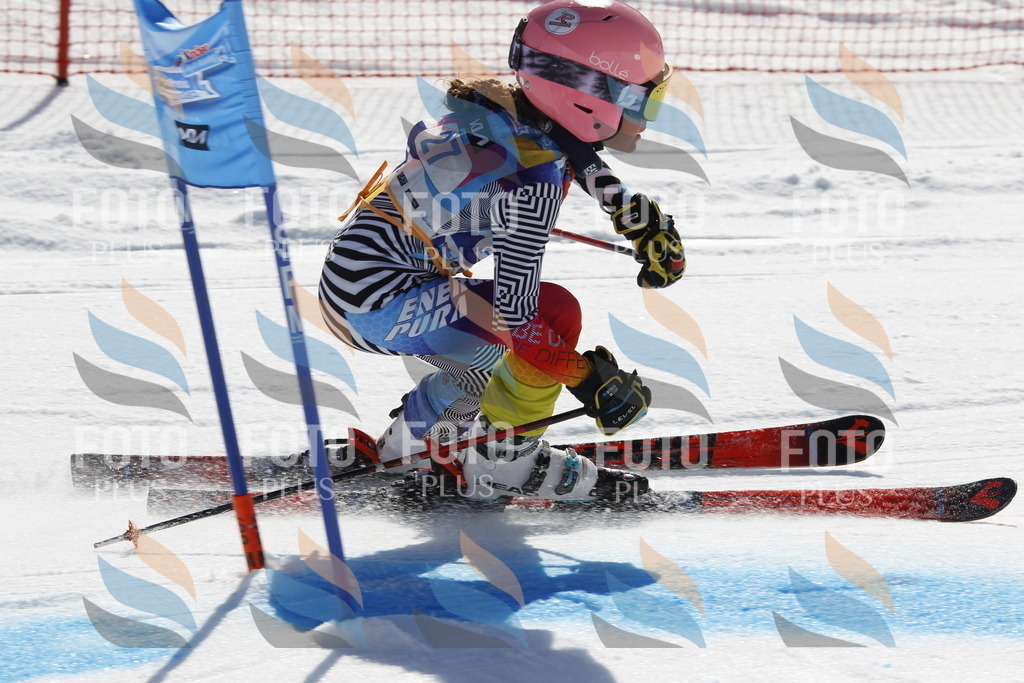 _U3G8992 | holidayphoto