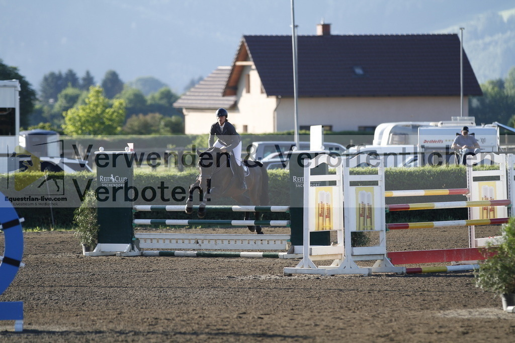 _MG_5377 | equestrian-live-com