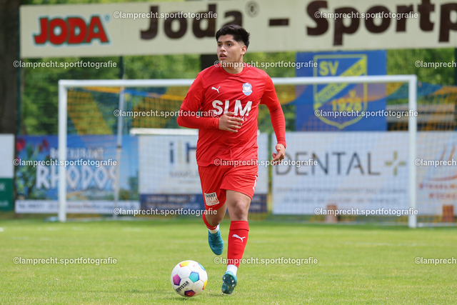 Fußball I Herren I Saison 2024-2025 I Senioren Landesliga Holstein I 29. Spieltag I SV Todesfelde U23 - 1.FC Phönix Lübeck II I 24.05.2025.159 | Enrique Bernd Höppner Ordonez (11, 1. FC Phönix Lübeck II) - Realisiert mit Pictrs.com