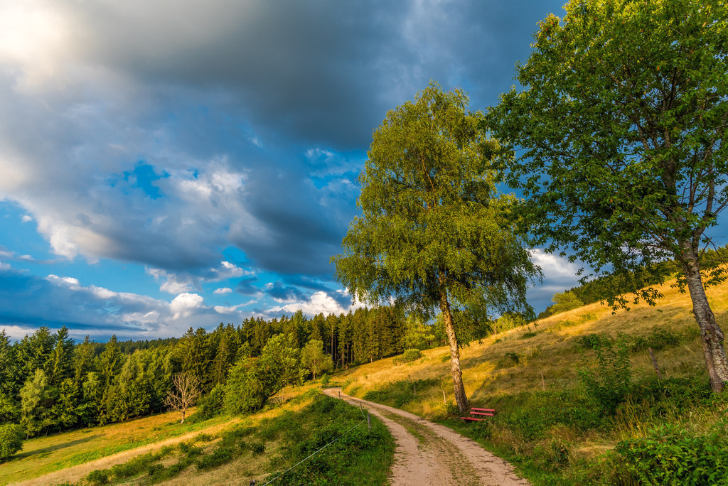 huenersedeltour-165 | <div id="allefotografen-seal-verified-green"></div><script src="https://www.allefotografen.de/956728/seal-verified-green/seal.js" async="async"></script> - Realisiert mit Pictrs.com