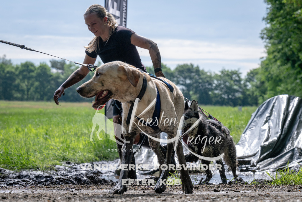 0911_ZZ90308 | kk-dogfotos