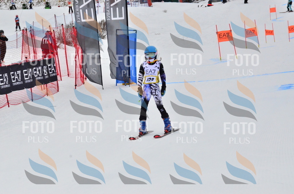 _ELE3664 | holidayphoto