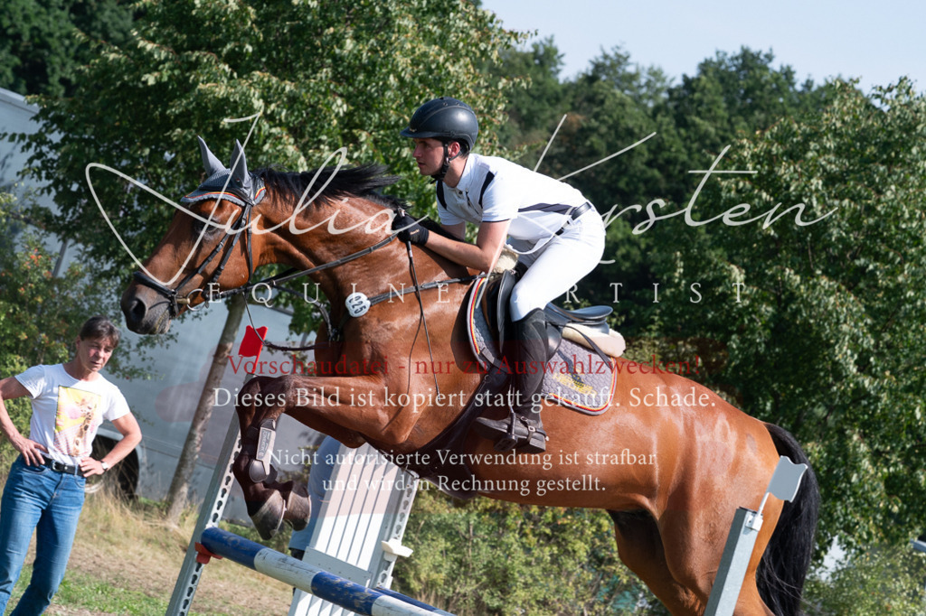 DSC_0883 | Pferde- und Turnierfotografie in Westsachsen. Pferdeportraits, Auftragszeichnungen und intuitive Kunst.