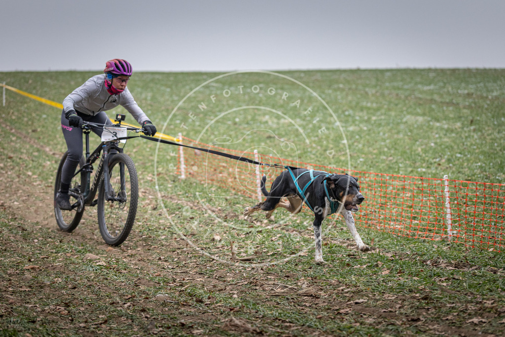 Pfotenfotografie_DV3A0979 | Hundefotografie, Tierfotograf, Pfotenfotografie, Fotoshooting Hund, Hunde Portrait, Hundesport, Hundeportraits, Heideshooting, Hunde, Sportfotograf, Hundefotograf, Turnierhundsport, THS,  - Realisiert mit Pictrs.com