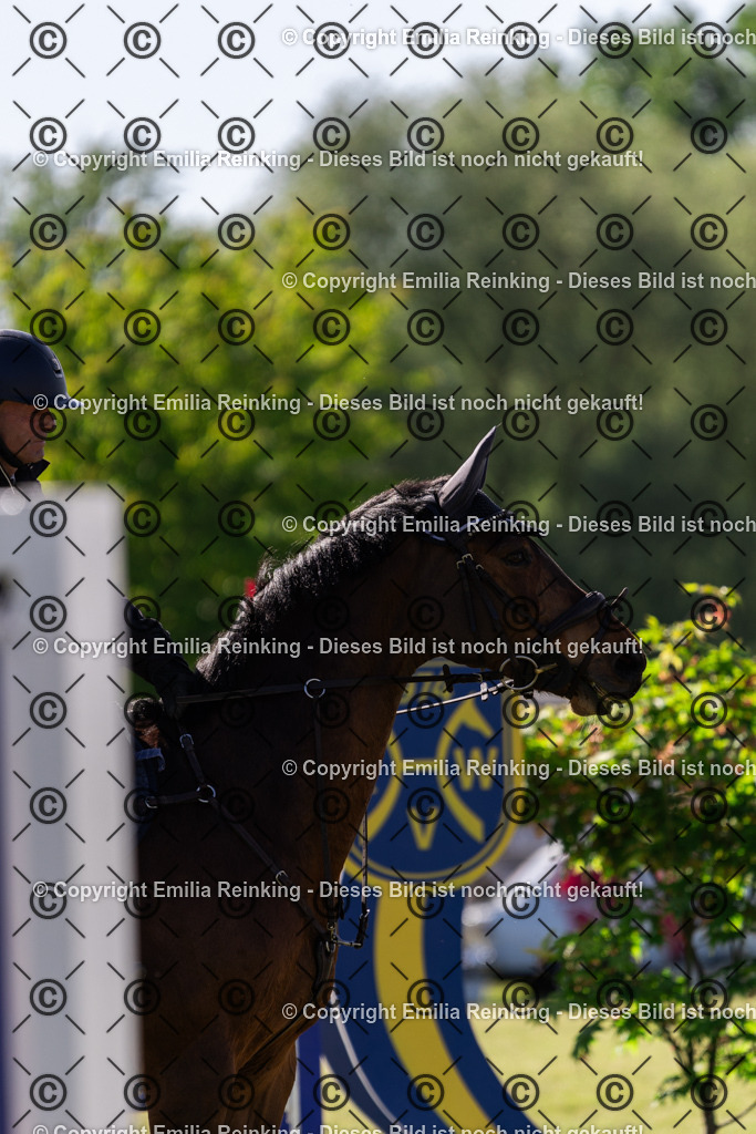 CL5A9041 | Emilia Reinking Fotografie - Realisiert mit Pictrs.com