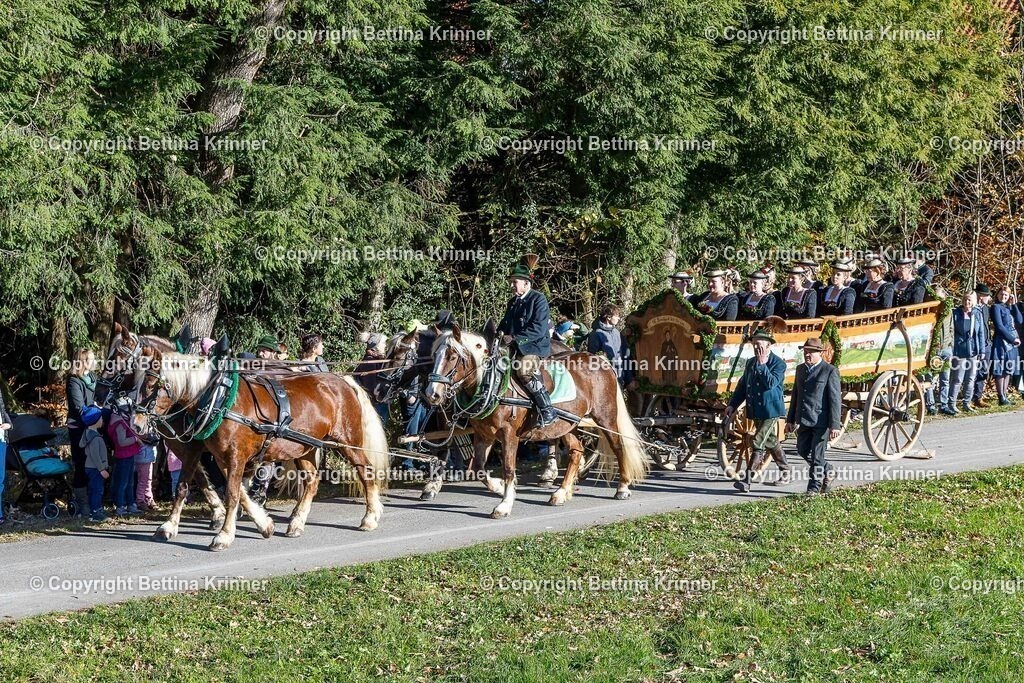 LBT25-94 | foto-bettina-krinner - Realisiert mit Pictrs.com
