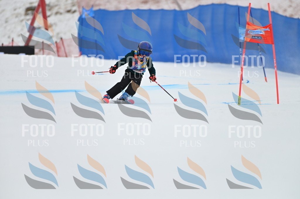 BGV_9546 | holidayphoto