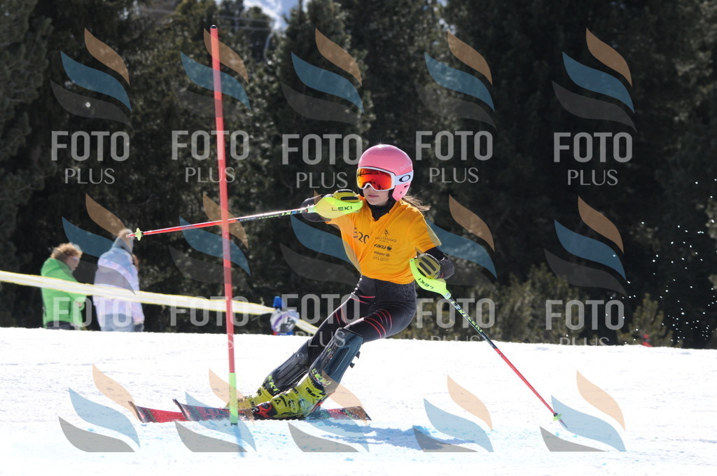 C9225 | holidayphoto